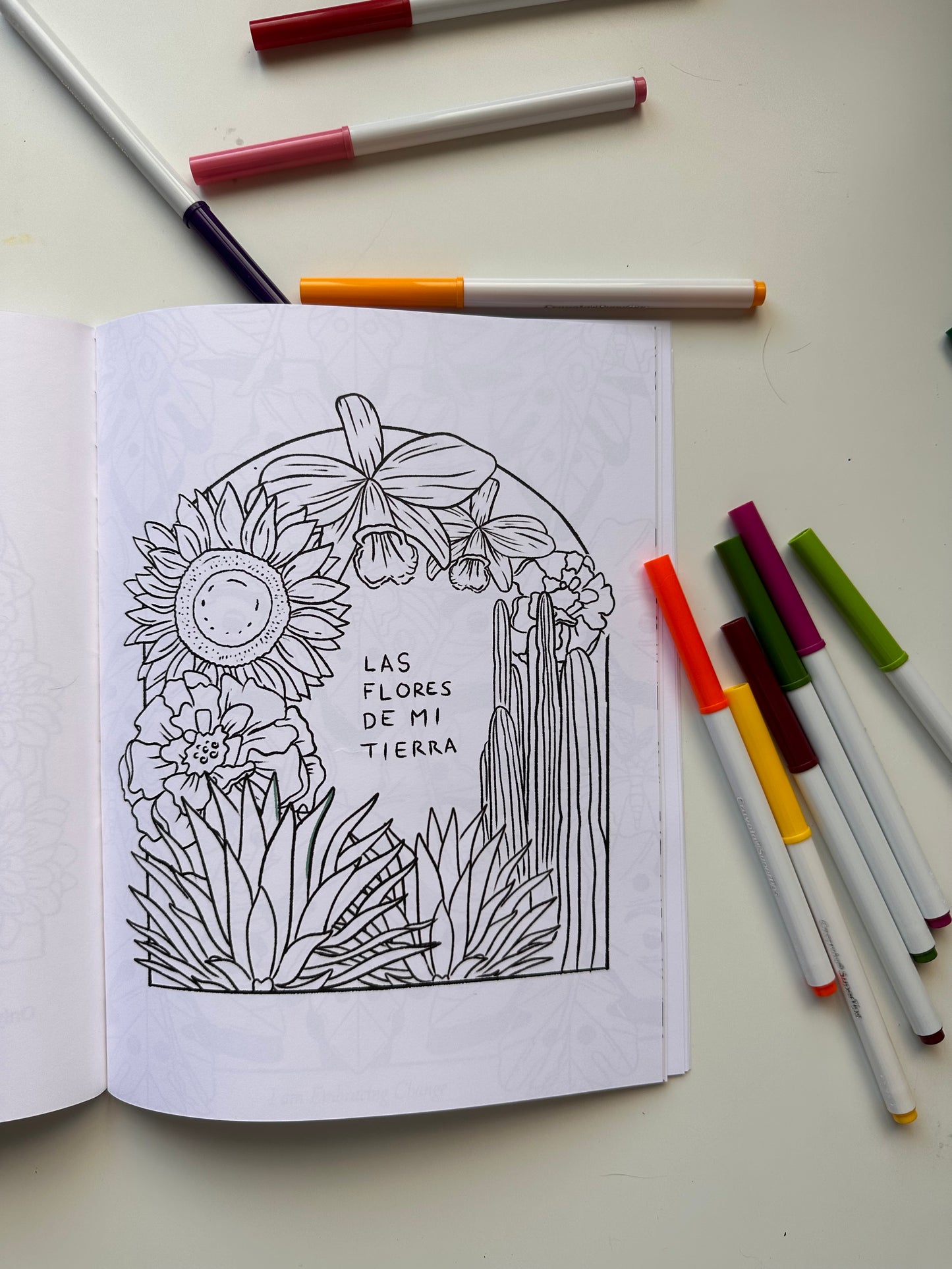 Tierra Sagrada | 48-Page Coloring Book