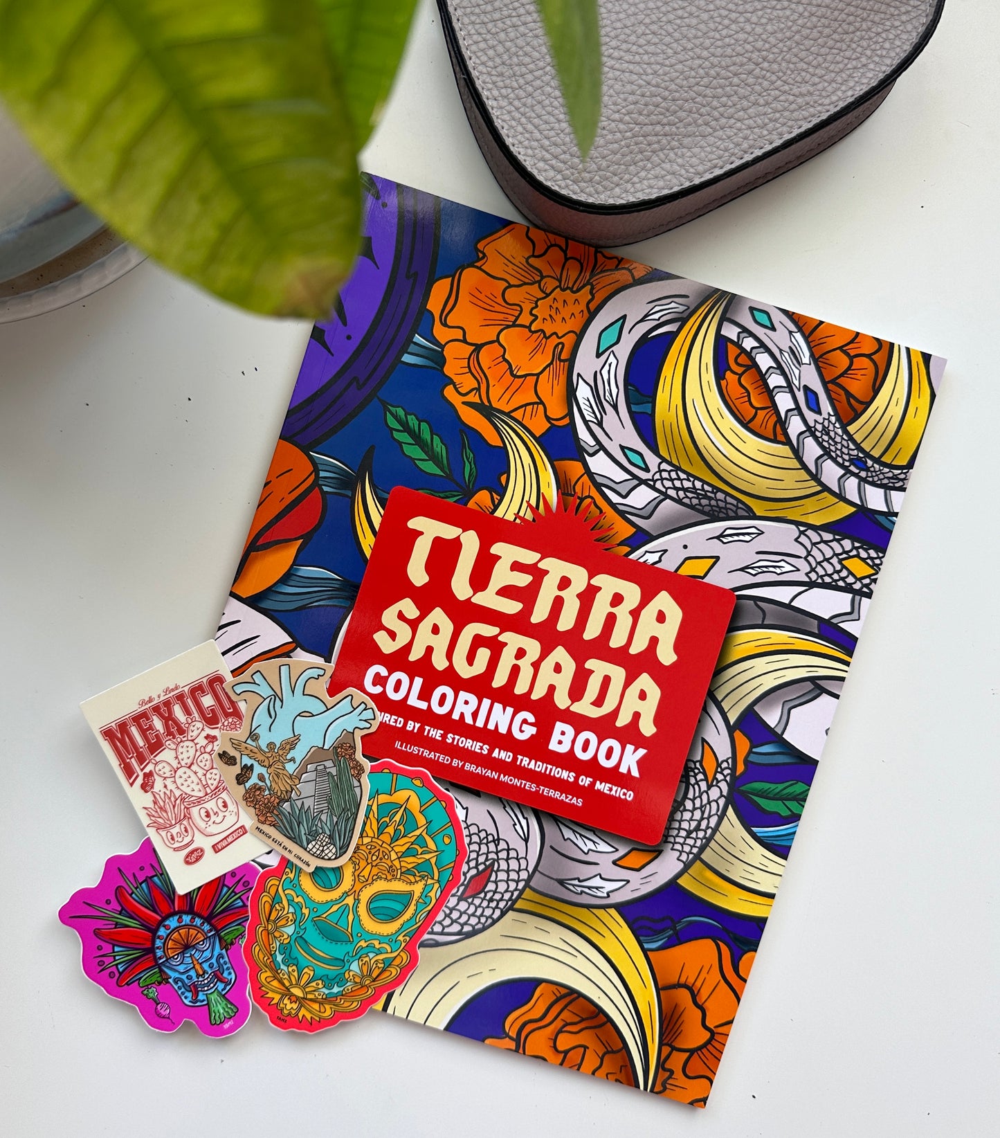 Tierra Sagrada | 48-Page Coloring Book