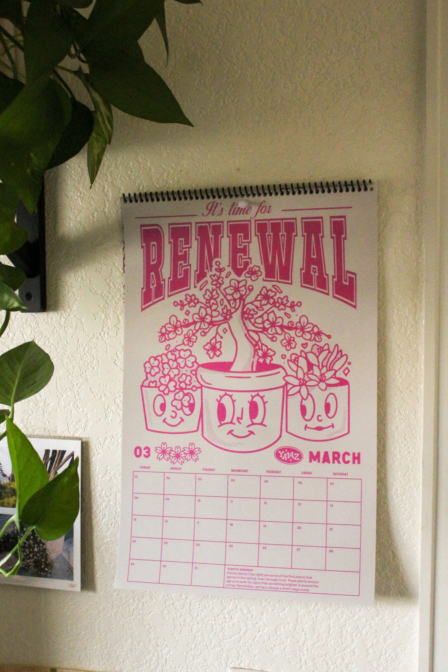 2026 Calendar - A Year of Plantitas