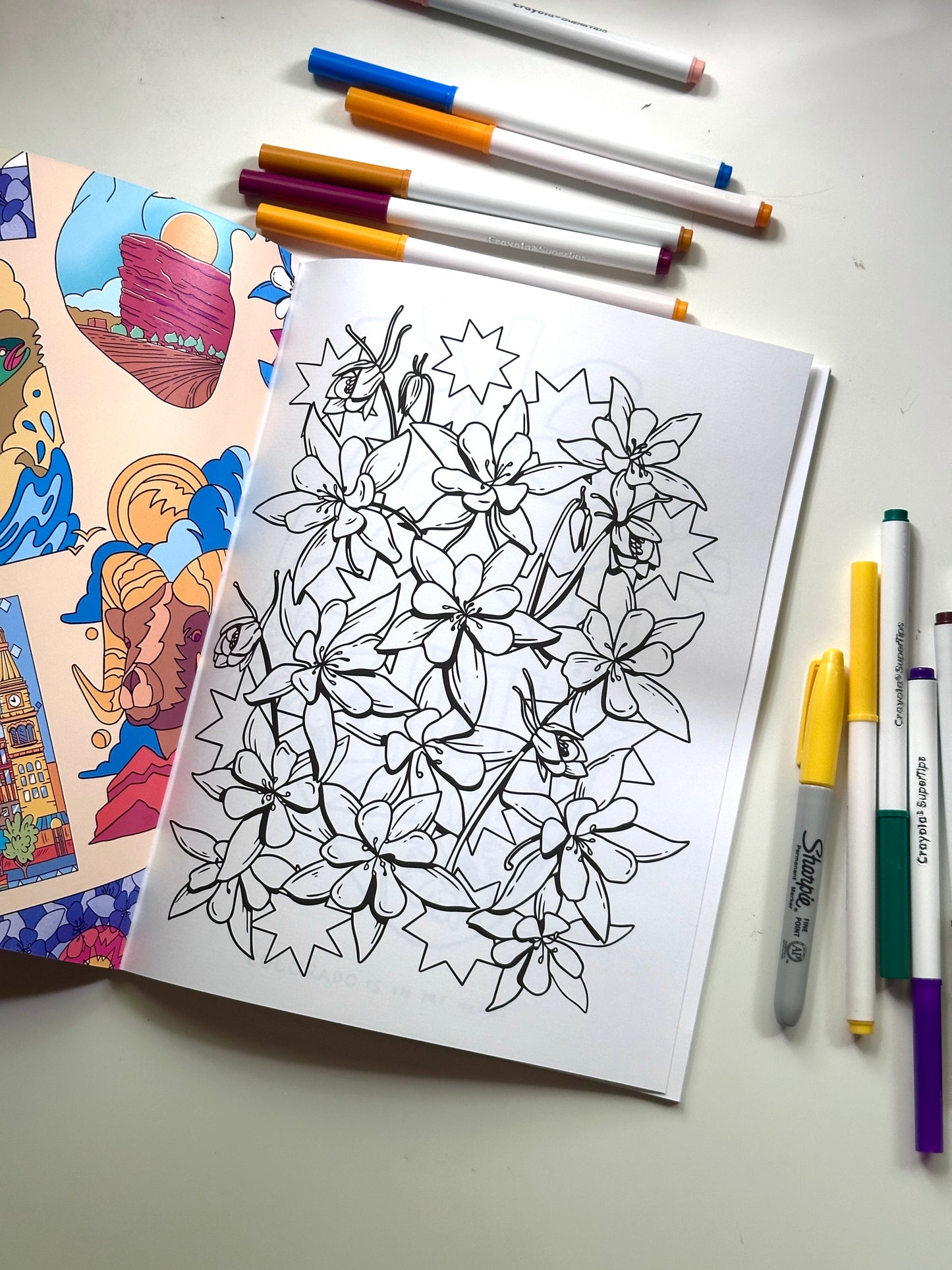 Color in Colorado Coloring Book
