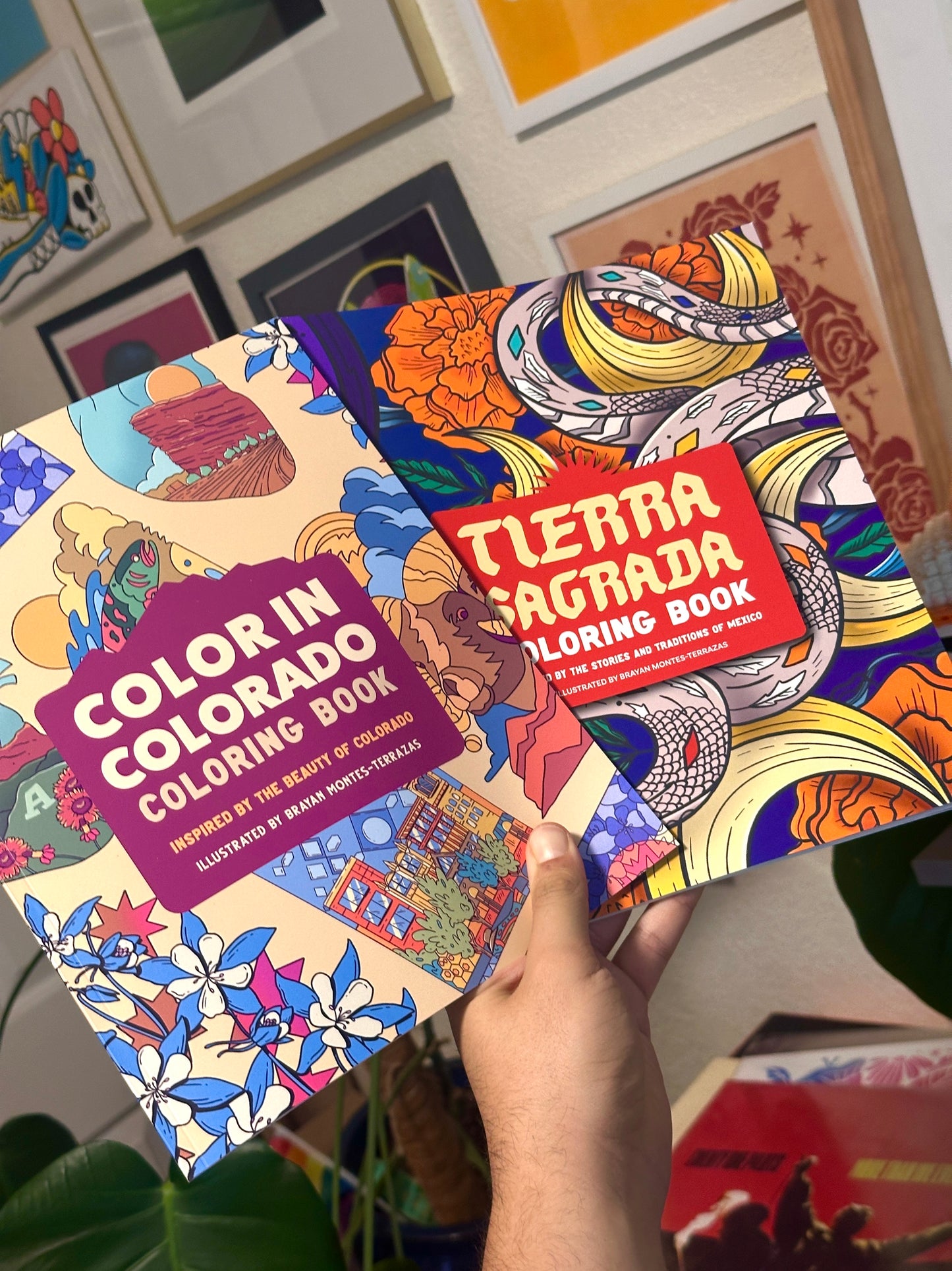 Color in Colorado Coloring Book